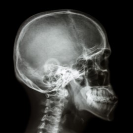 103rd Annual Anatomy and Histopathology of the Head Neck and Temporal Bone Banner